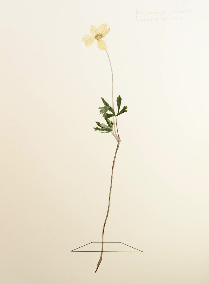 Elegance