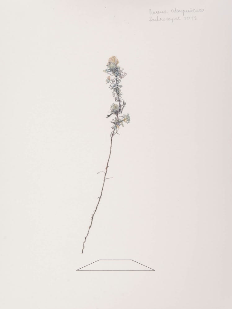 Elegance