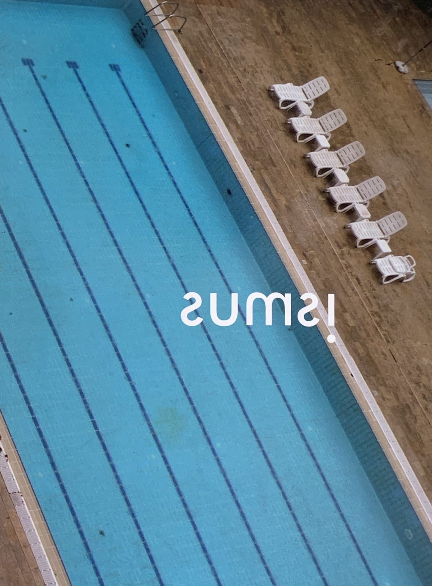 ismus, 12th International Exhibition of Contemporary Arts Dresden and the 2nd OSTRALE Biennale
