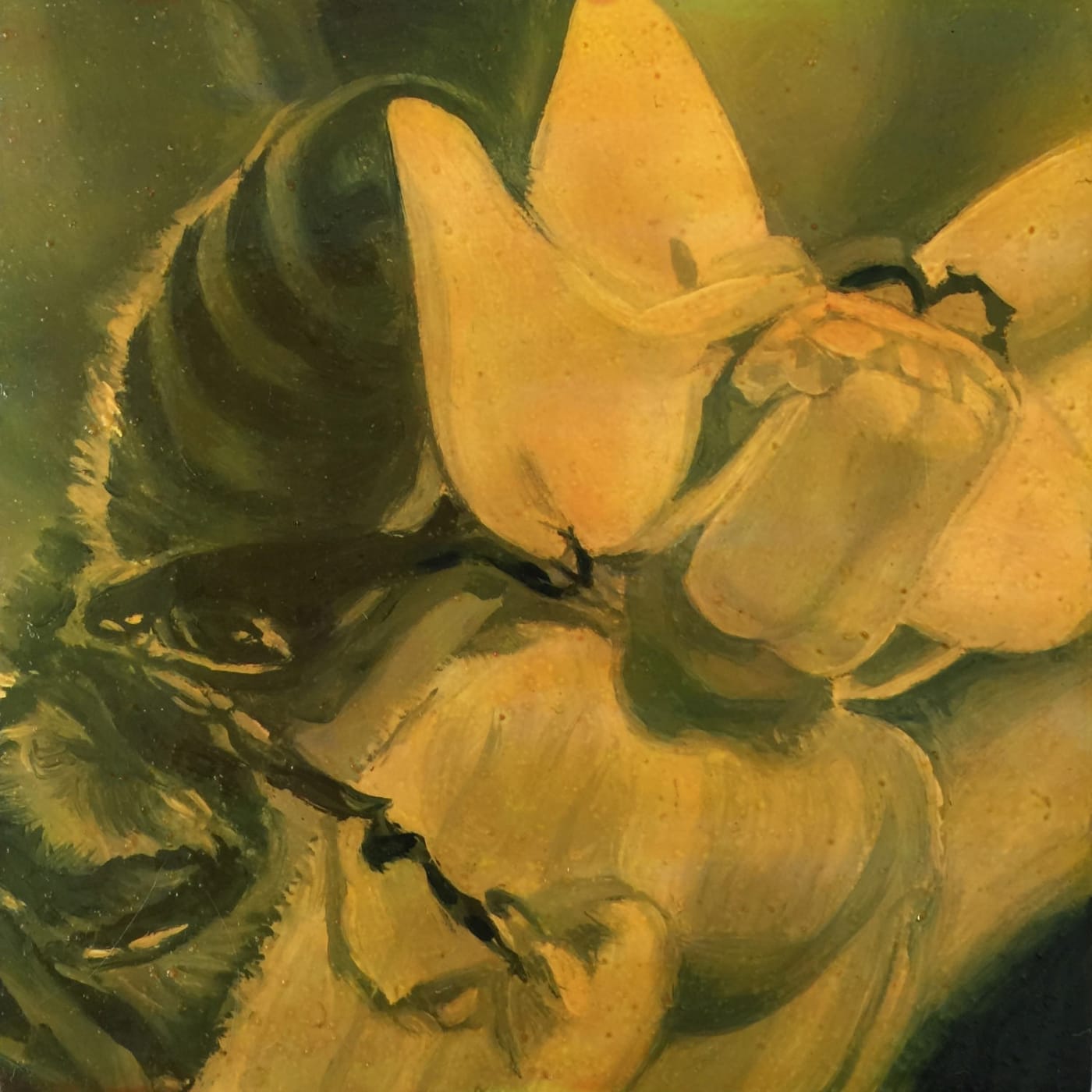 An Intimate History of Milkweed