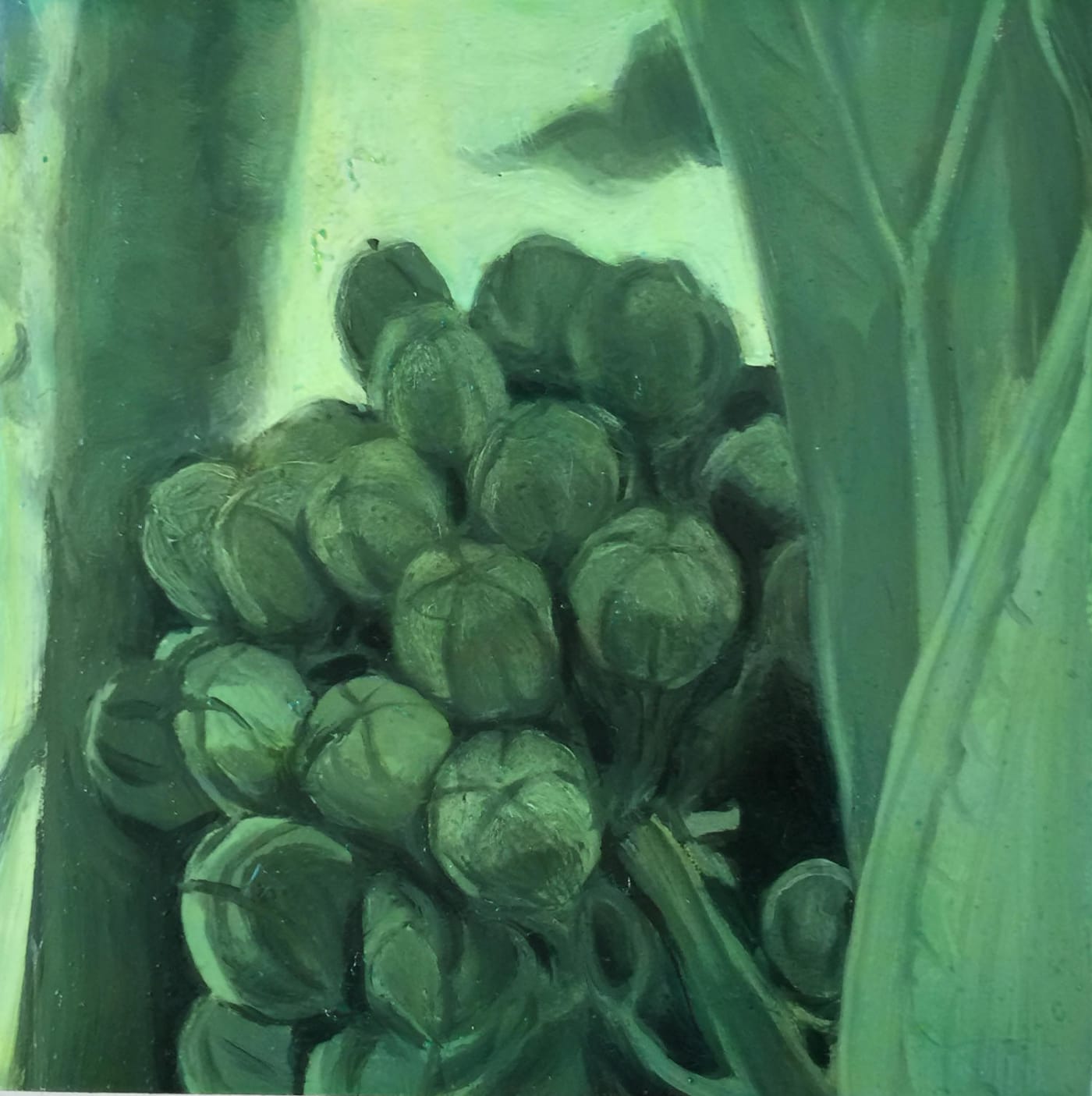 An Intimate History of Milkweed