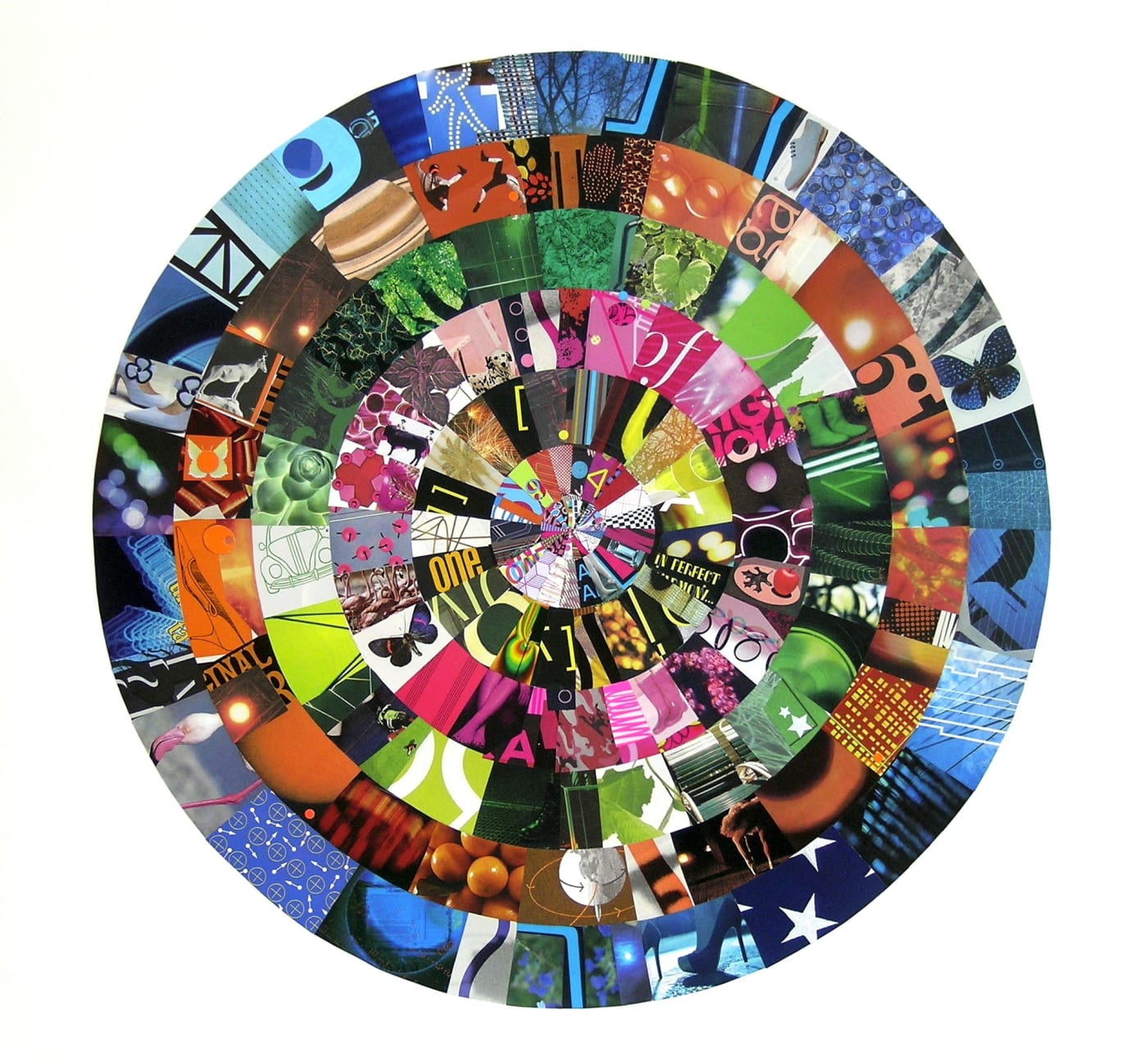 Focus: Josette Urso