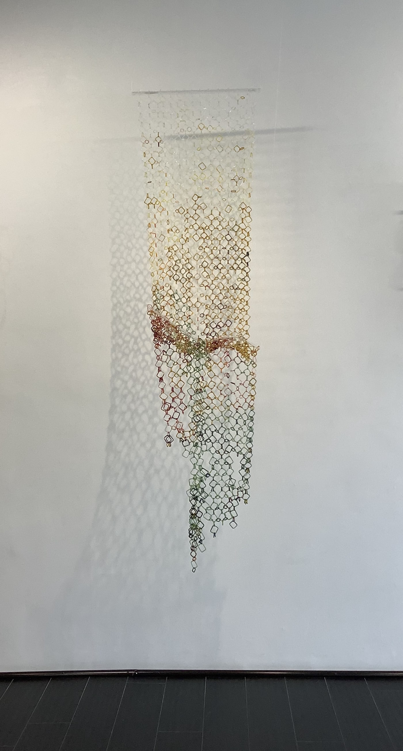 Fragile Nature, River Studies in Glass