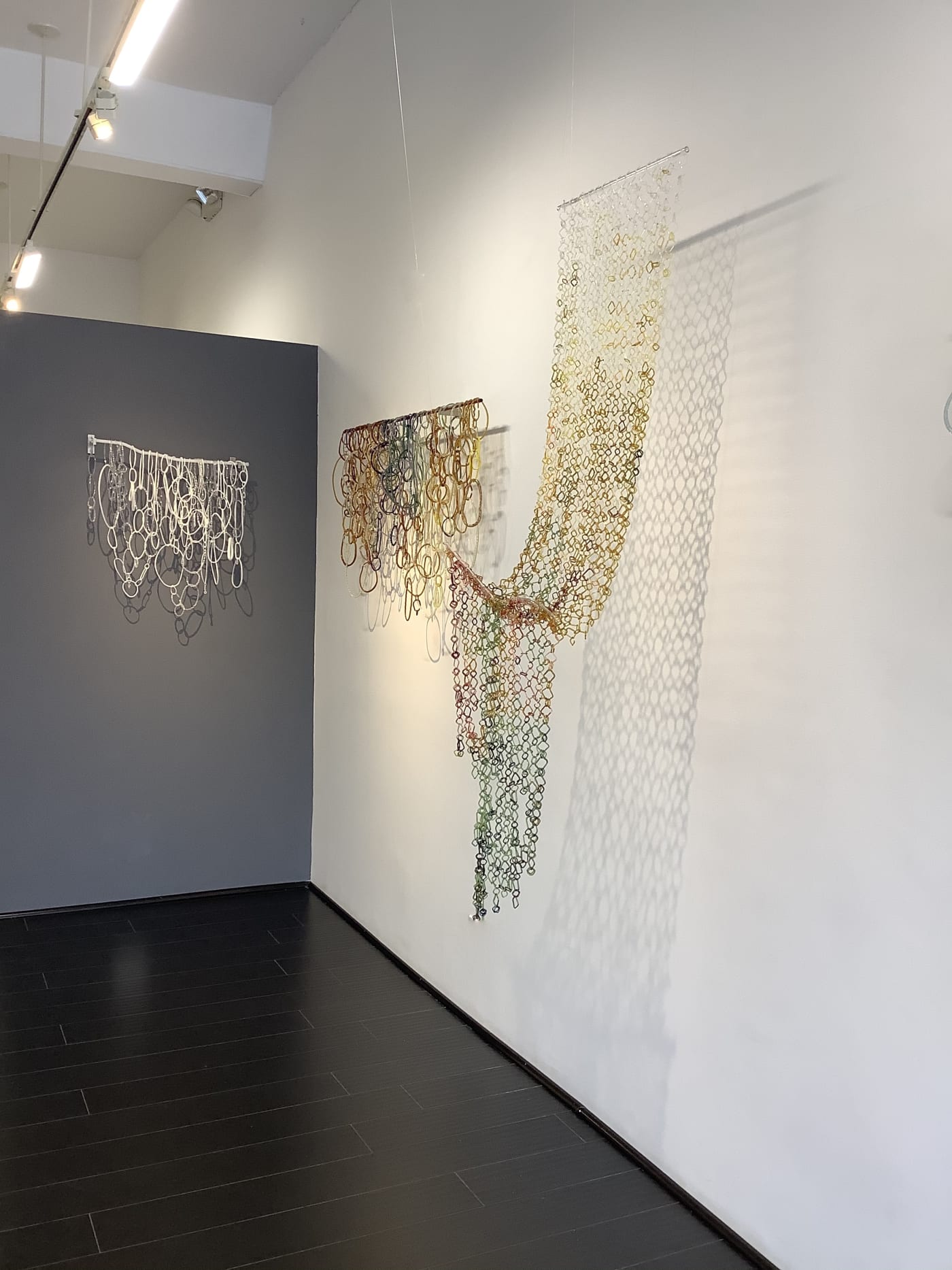 Fragile Nature, River Studies in Glass