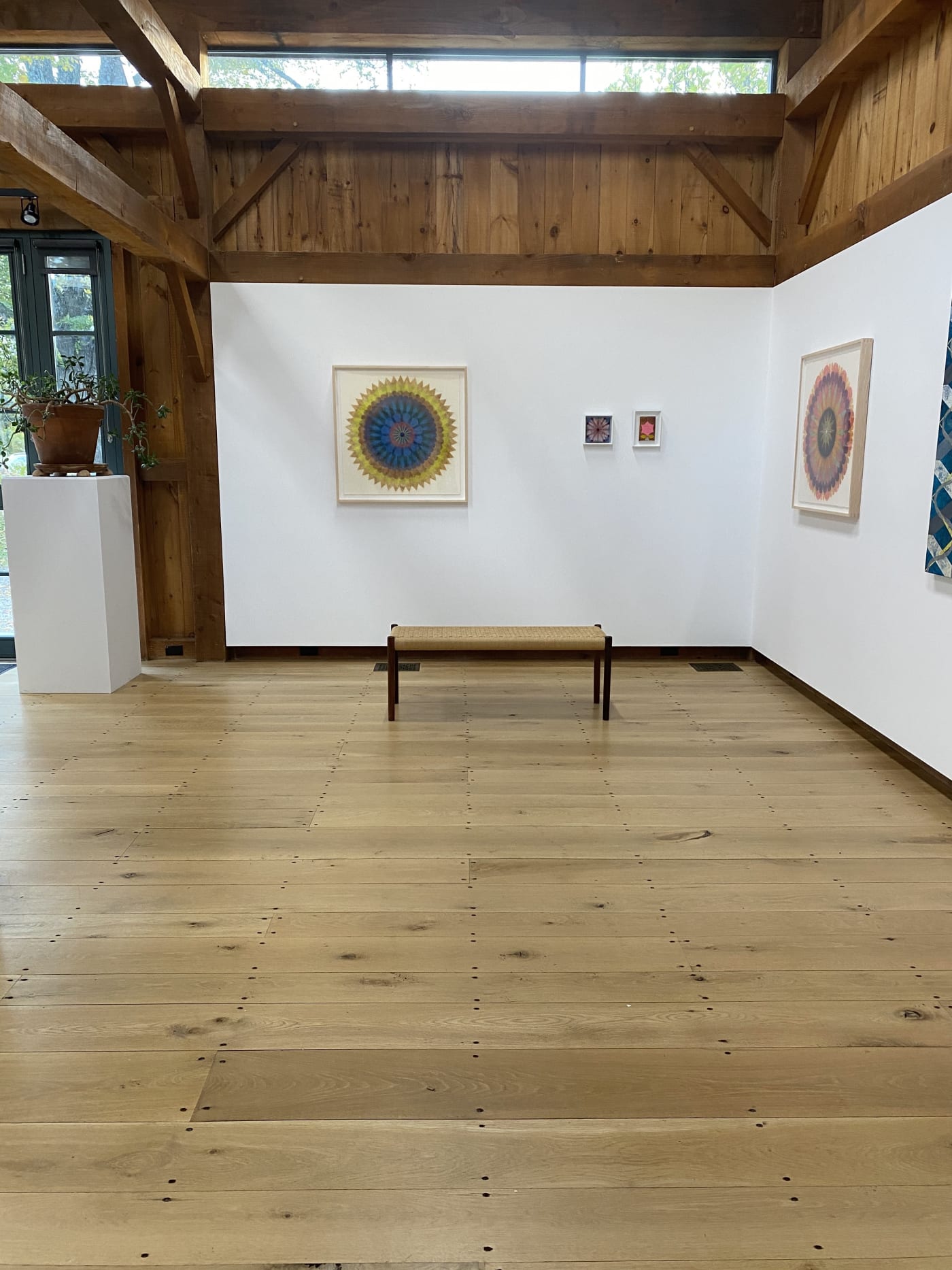 Poptics and Paintings: new work by Mary Judge