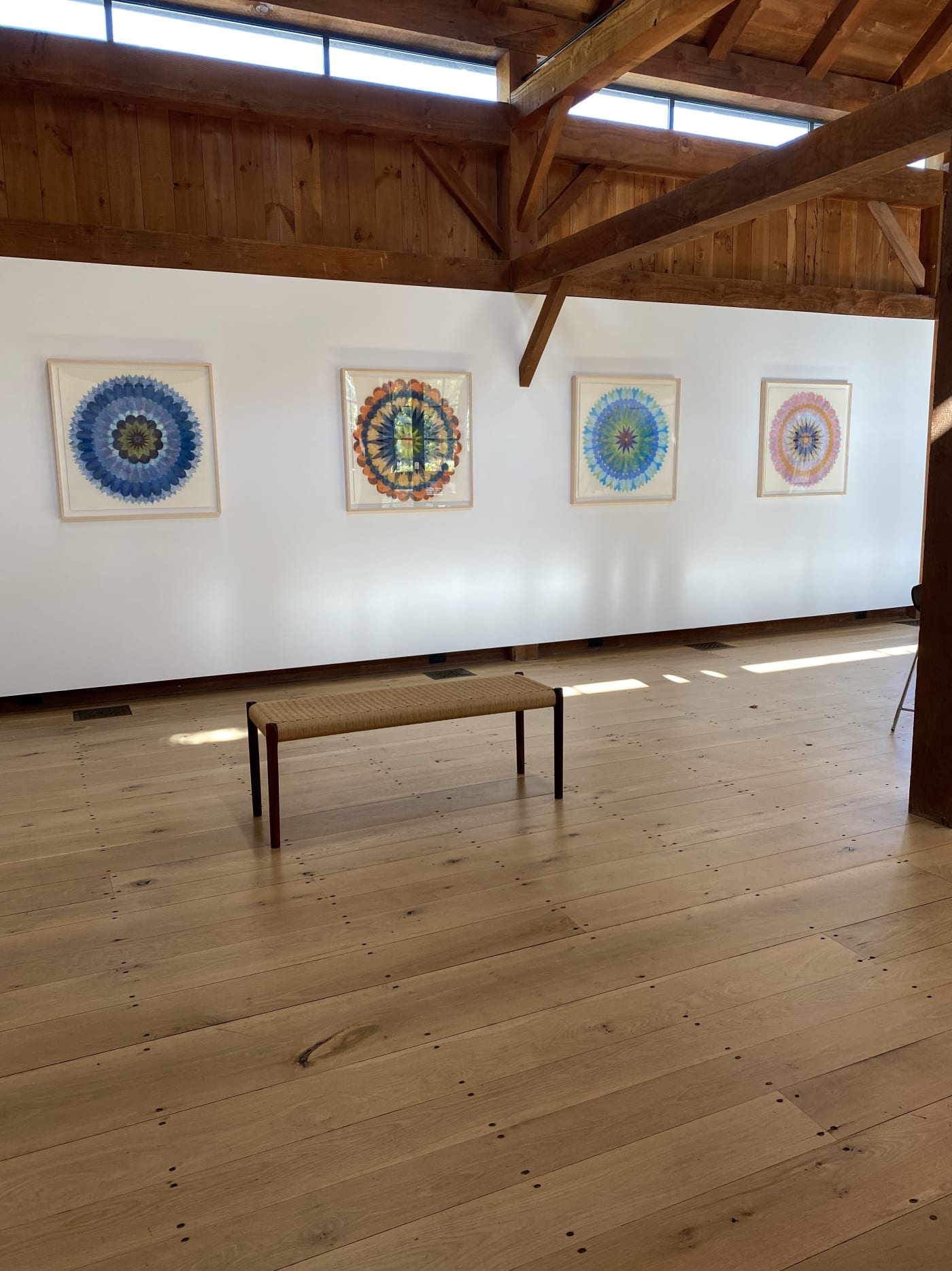 Poptics and Paintings: new work by Mary Judge