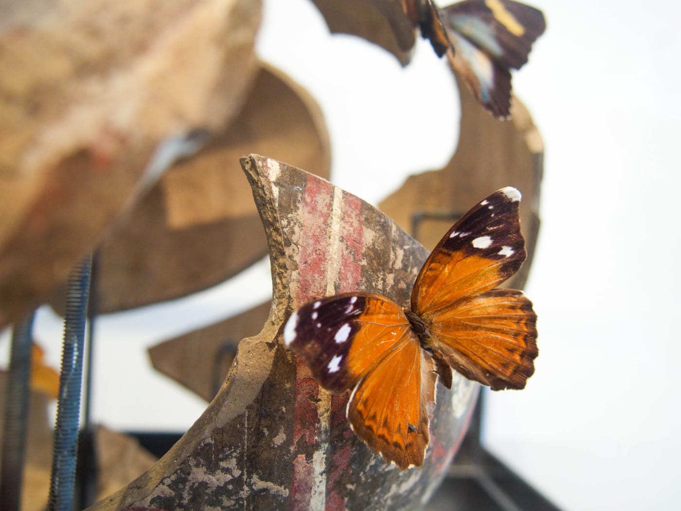 Bouke de Vries