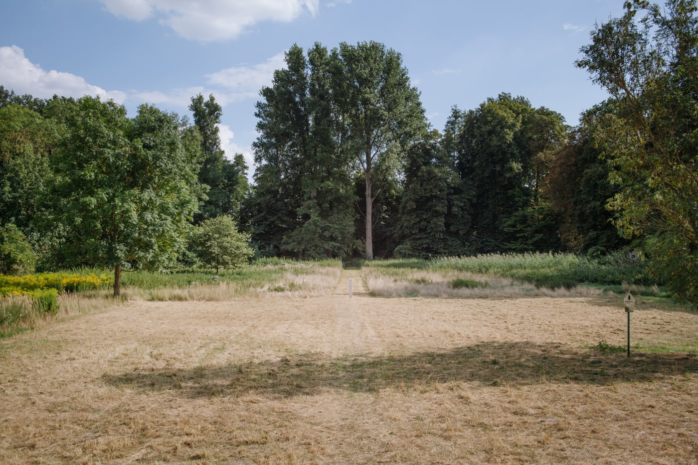 Schloss Goerne