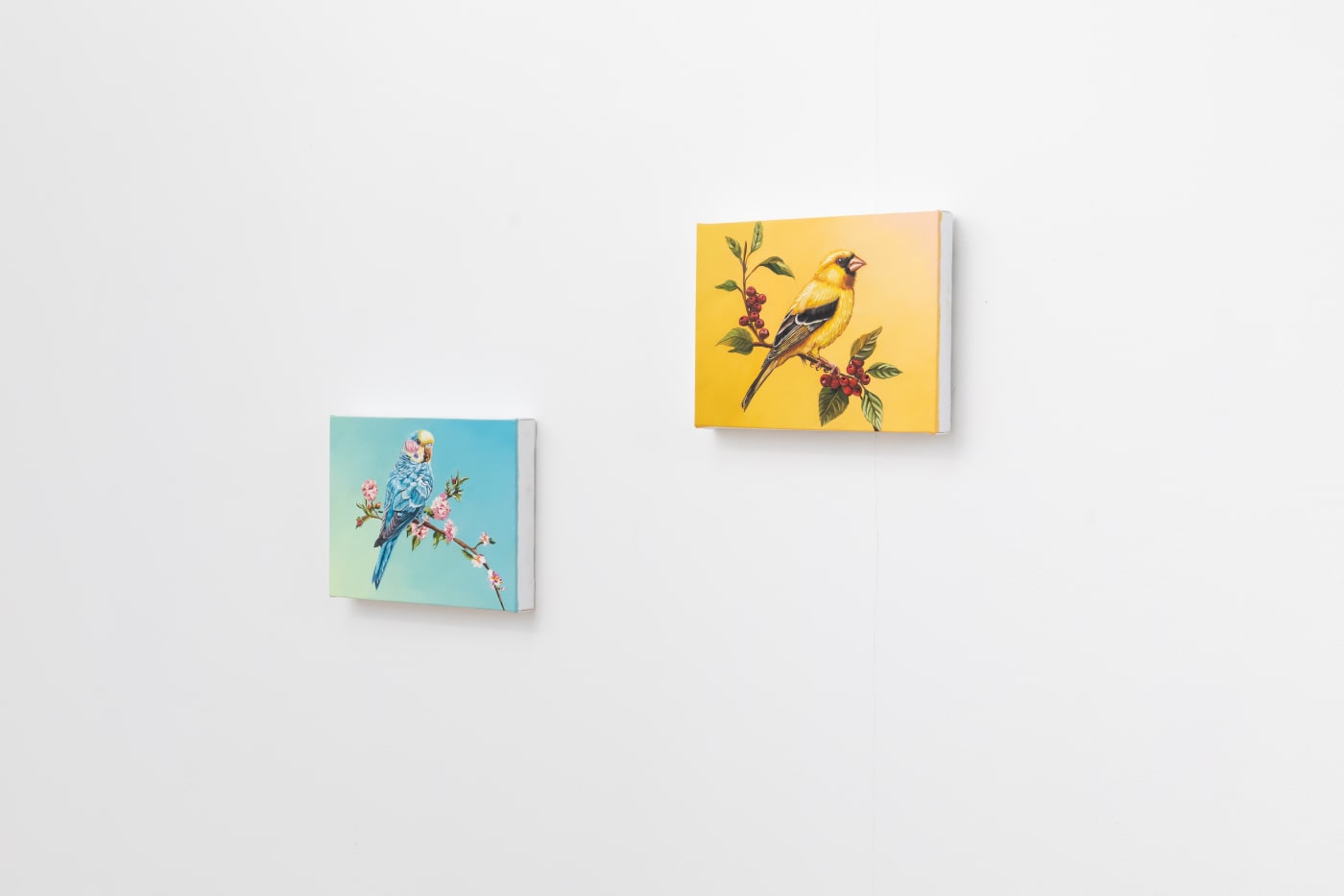 Ted Lawson, Christina Nicodema