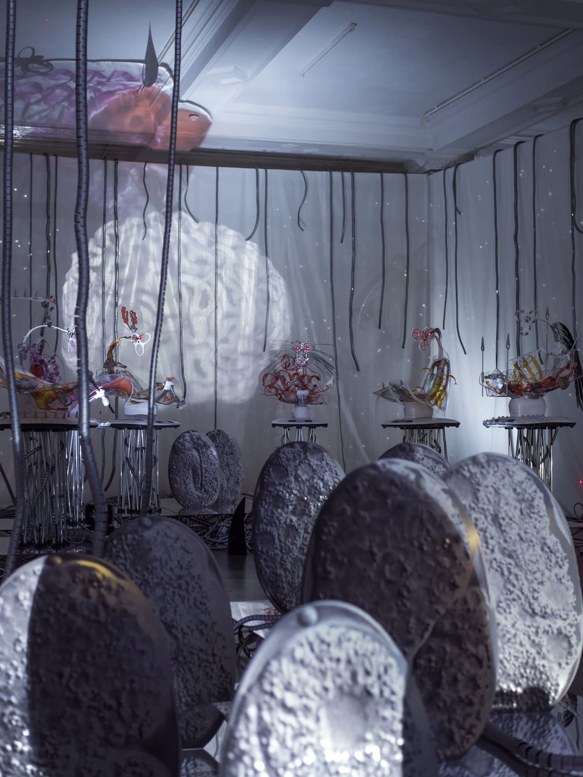 KATJA NOVITSKOVA exhibition view, Invasion Curves, Whitechapel Gallery, London, 2018