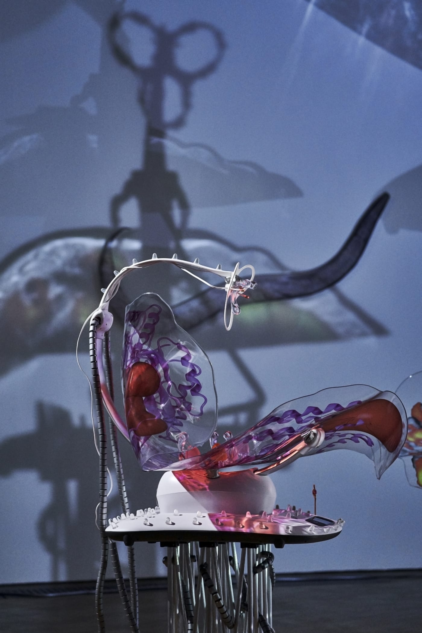 KATJA NOVITSKOVA exhibition view, Invasion Curves, Whitechapel Gallery, London, 2018