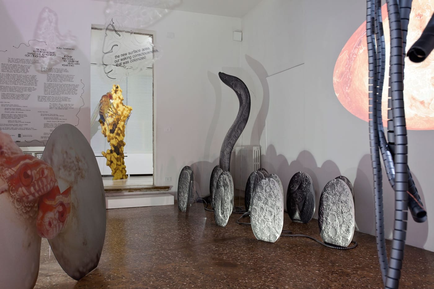 KATJA NOVITSKOVA exhibition view, If Only You Could See What I've Seen With Your Eyes, Estonian Pavillon, 57th Venice Biennale, 2017