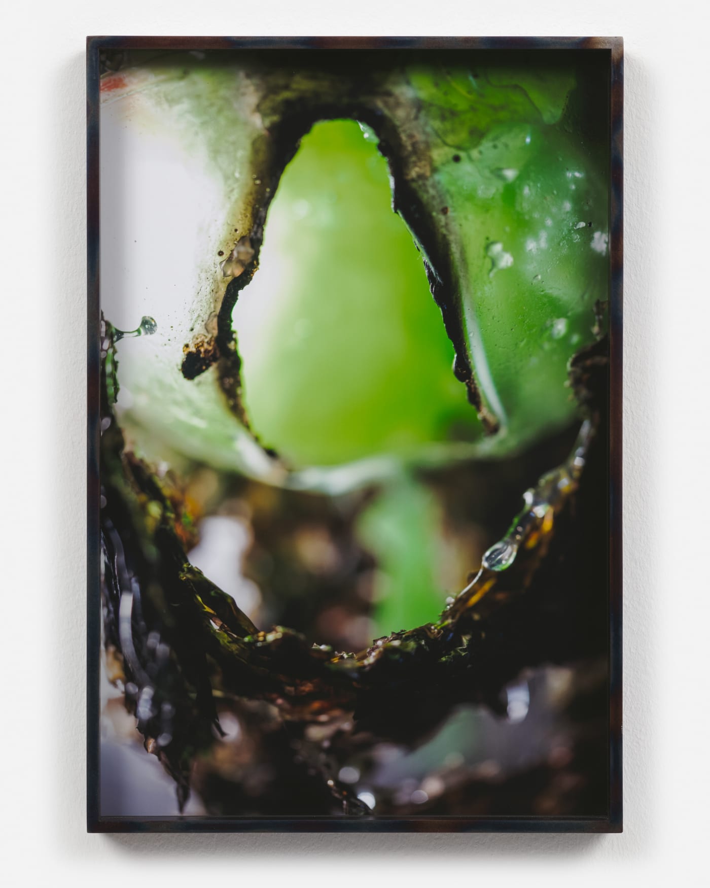 Diane Severin Nguyen, Raindrop Bodywork, 2019