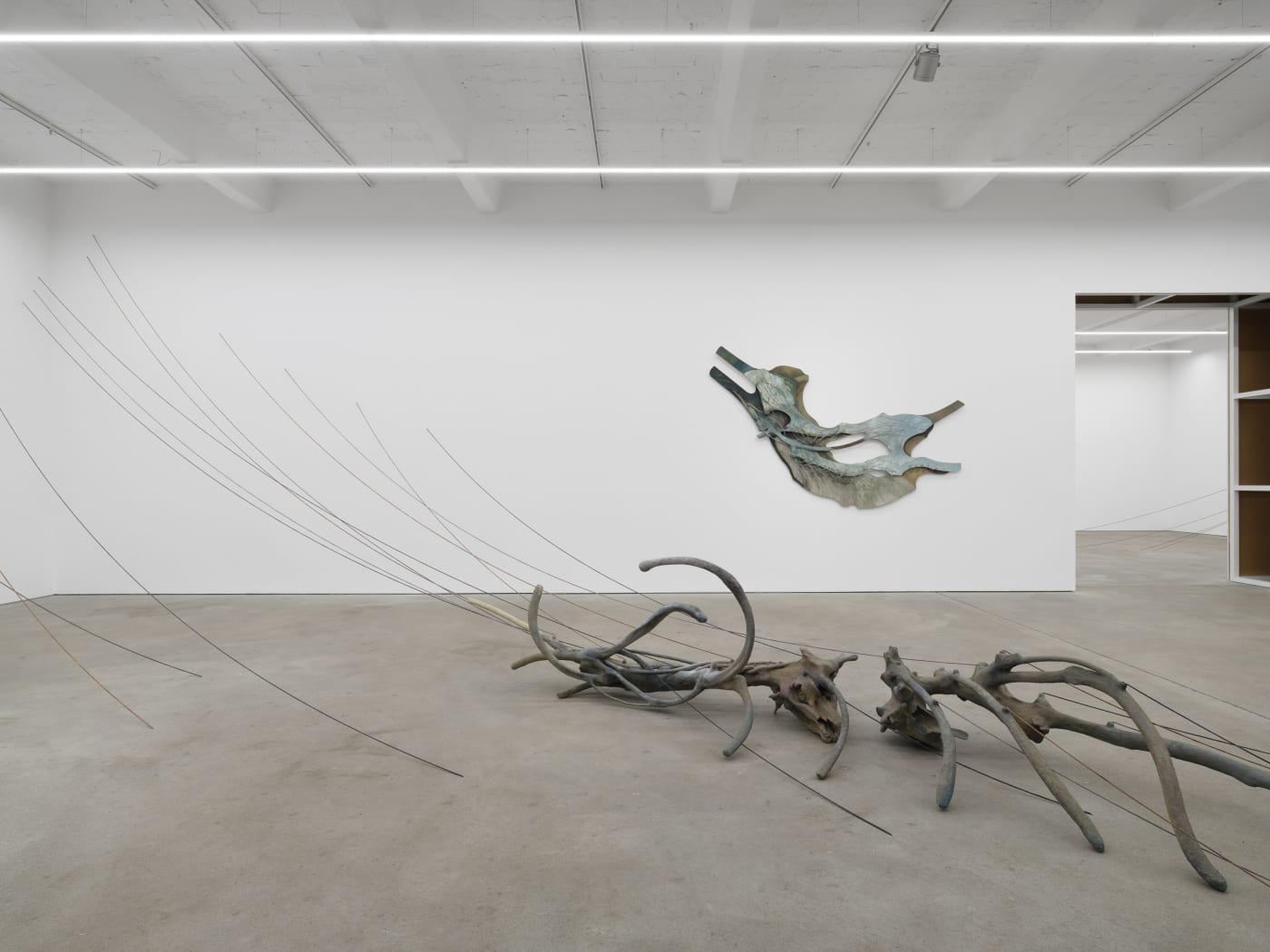 Radix, exhibition view, Kraupa-Tuskany Zeidler, Berlin, 2025