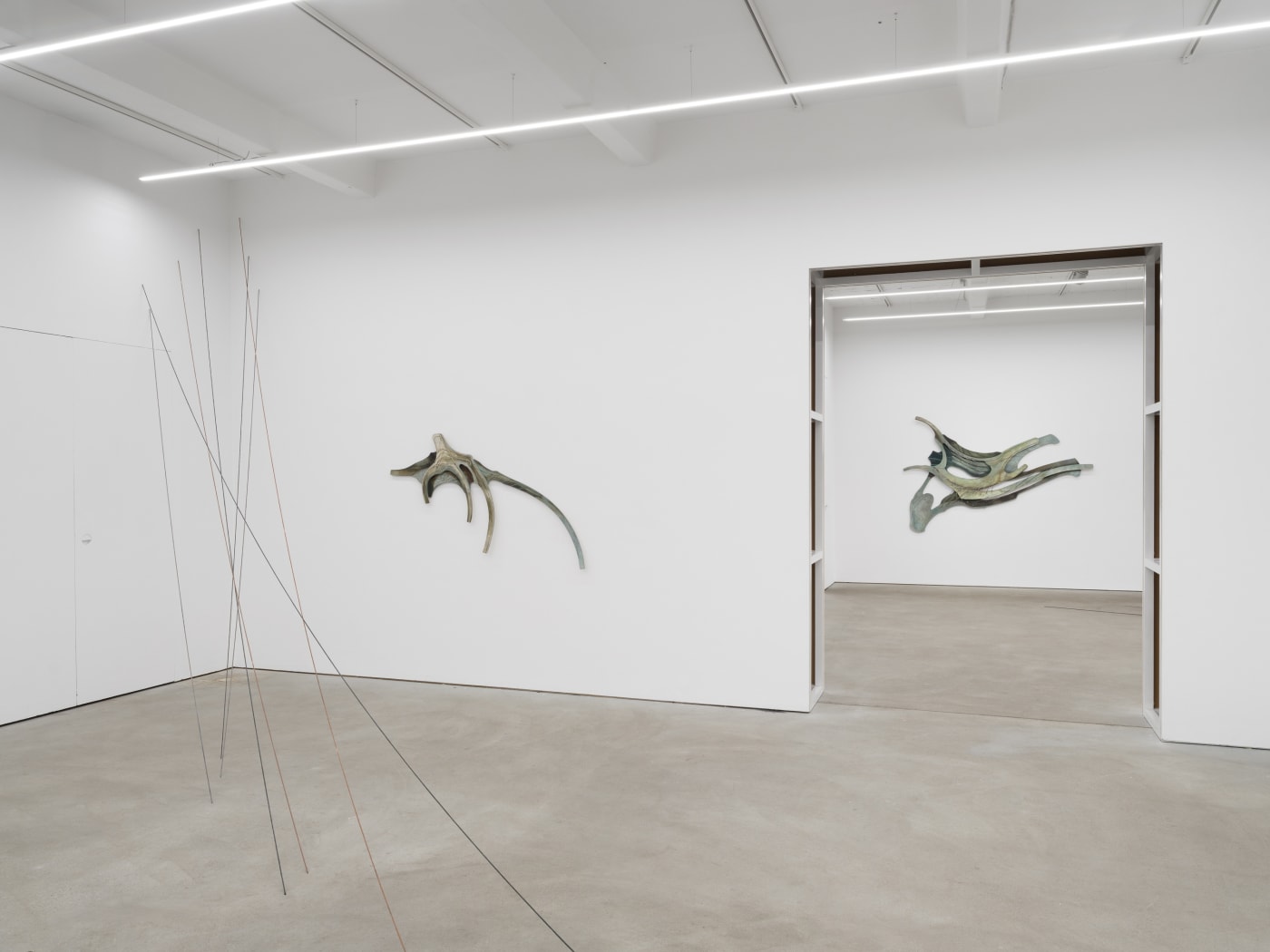 Radix, exhibition view, Kraupa-Tuskany Zeidler, Berlin, 2025