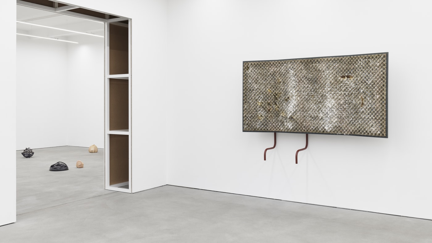 AGATA INGARDEN, HANNA-MARIA HAMMARI exhibition view, Liminal States, Kraupa-Tuskany Zeidler, Berlin 2019-2020