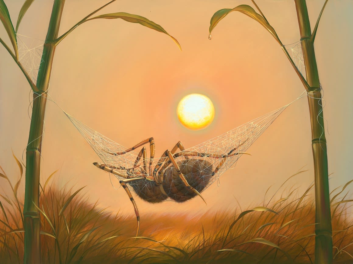 IN THE WEB OF BLISS