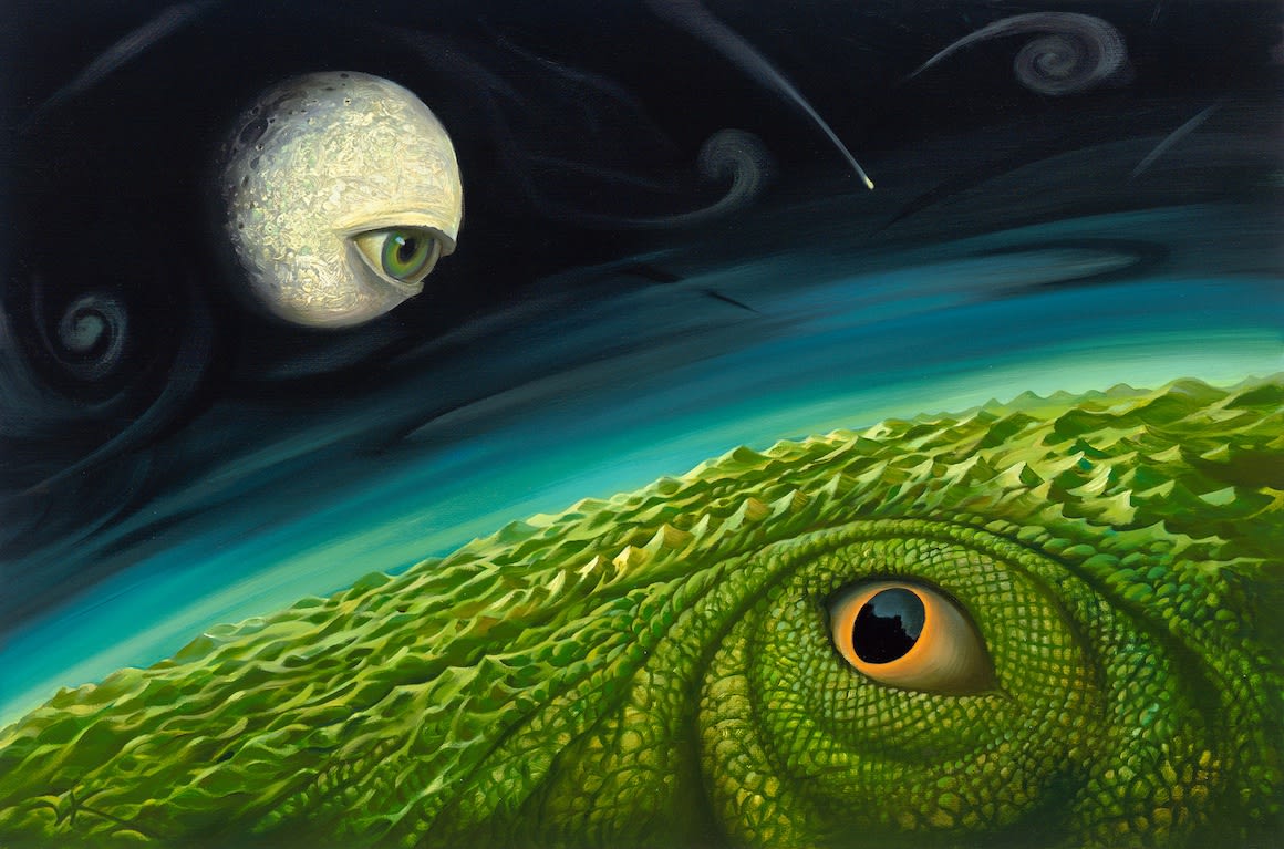OBSERVATION