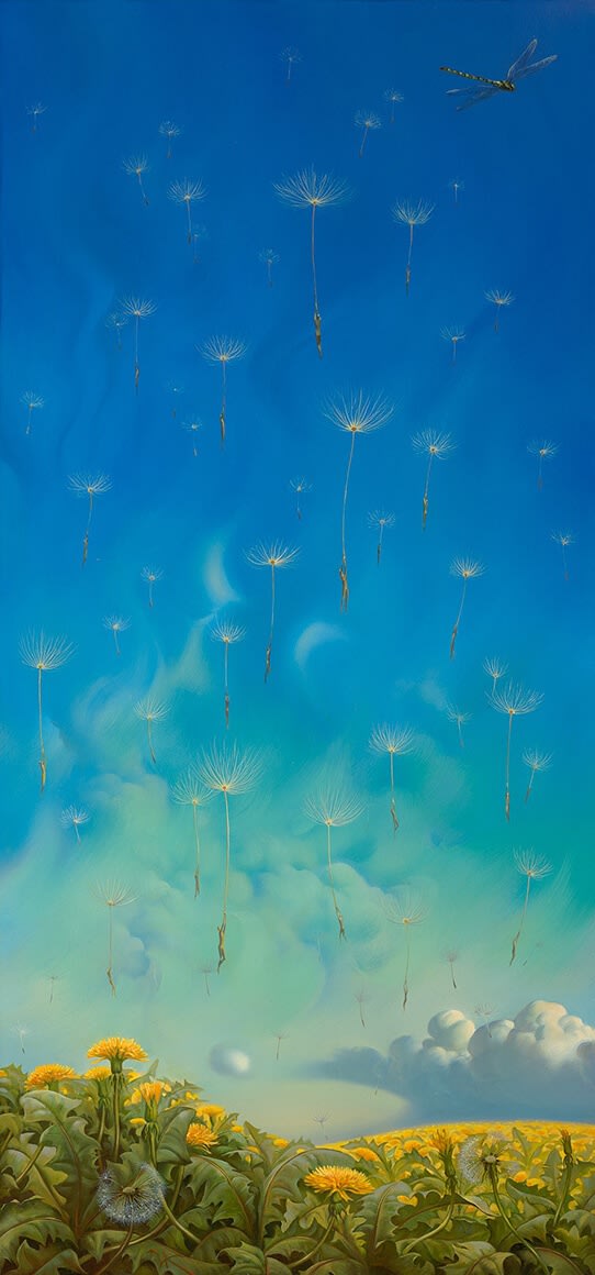 WHITE FLOWERS OF THE SKY