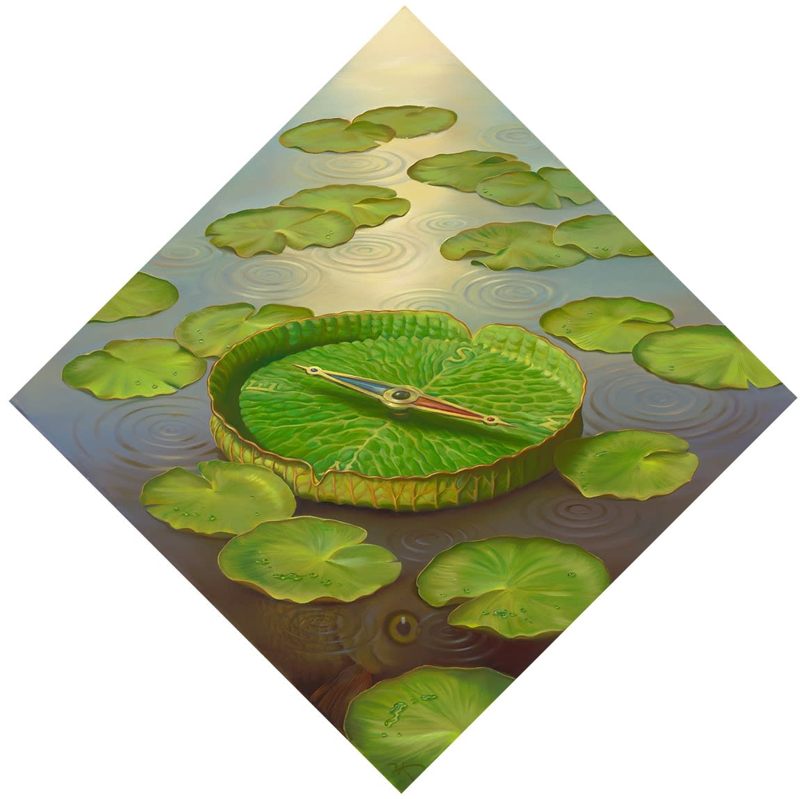 AMAZONIAN COMPASS