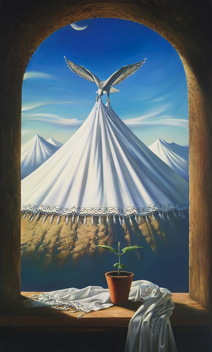 WINDOW TO DISCOVERY