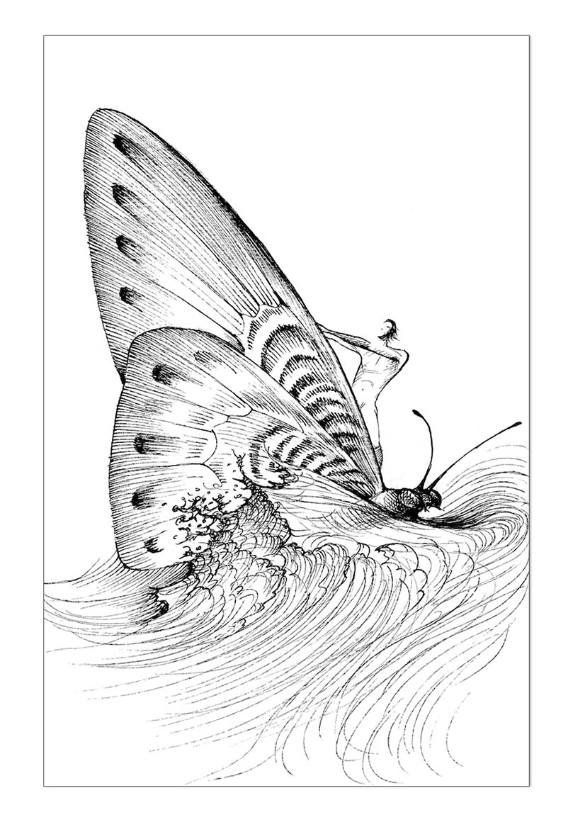 WINGSURFER