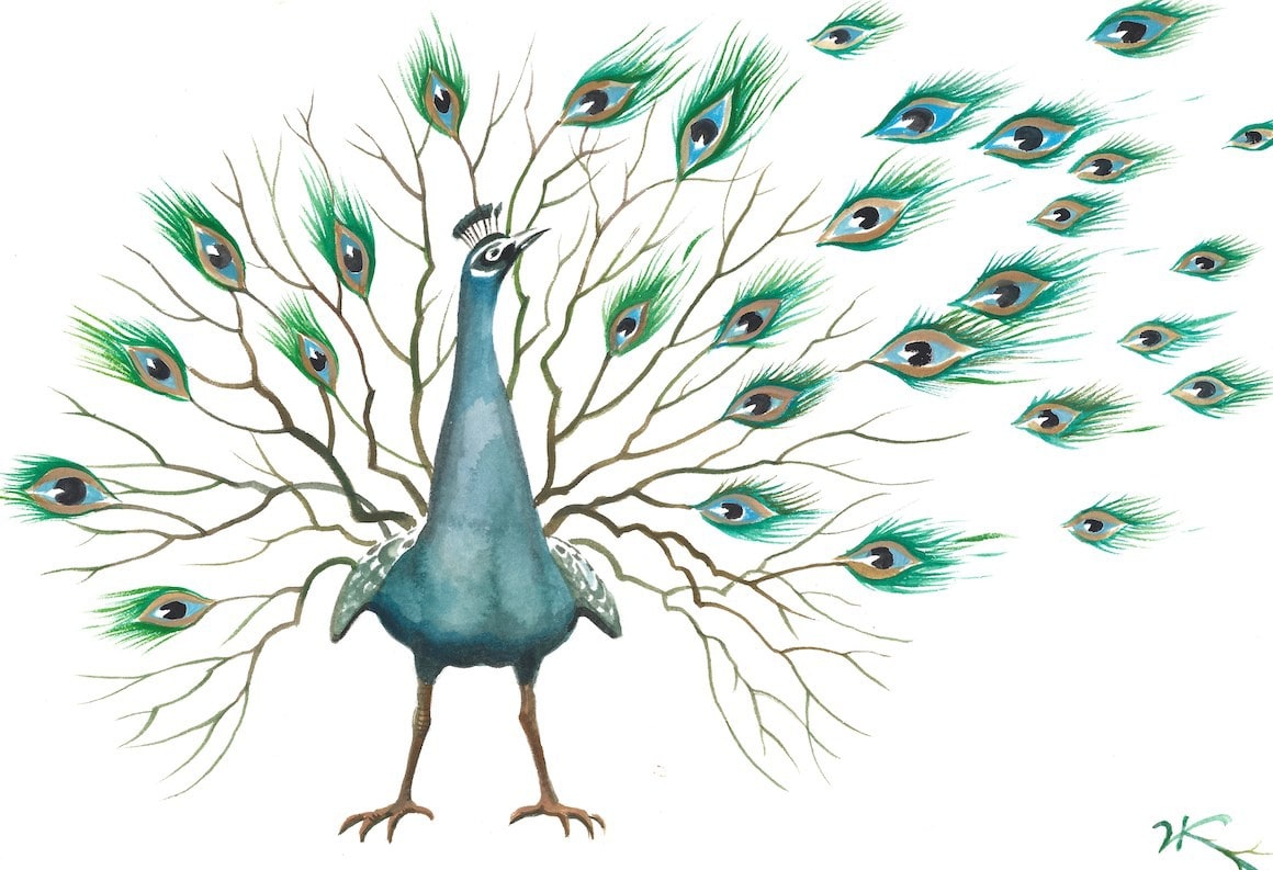 PEACOCK'S TRAIN