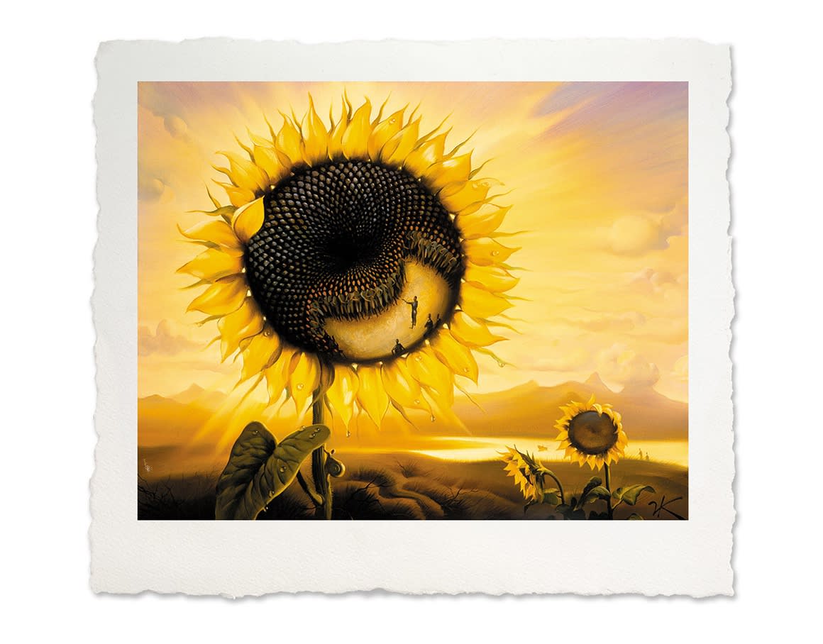 PLANET SUNFLOWER