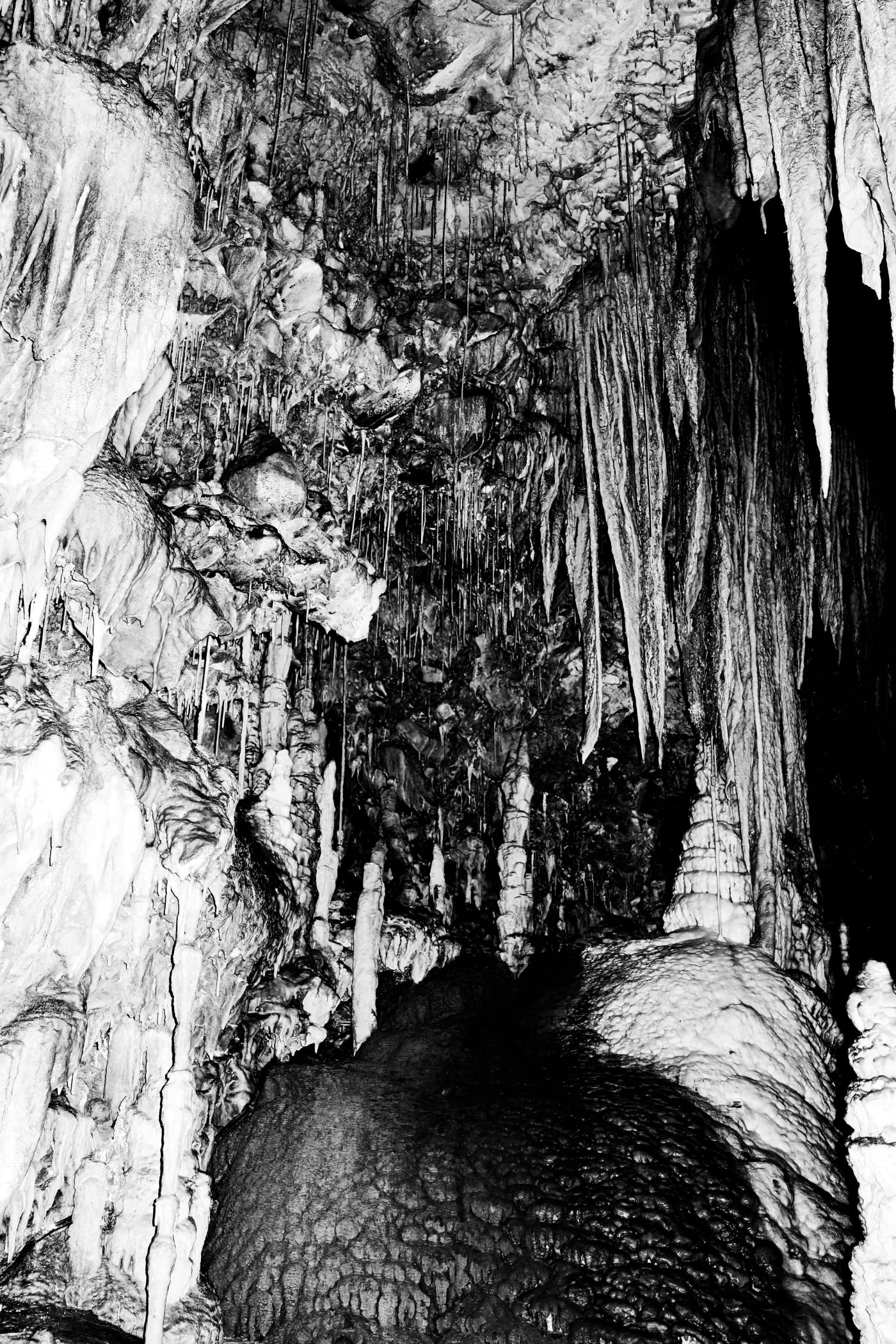 Kate Bellm Cave Tongue, Tasmania, 2015Printed on Hahnemühle Rag Photo Paper27 x 18 cmEdition 1 of 5 plus 2 AP
