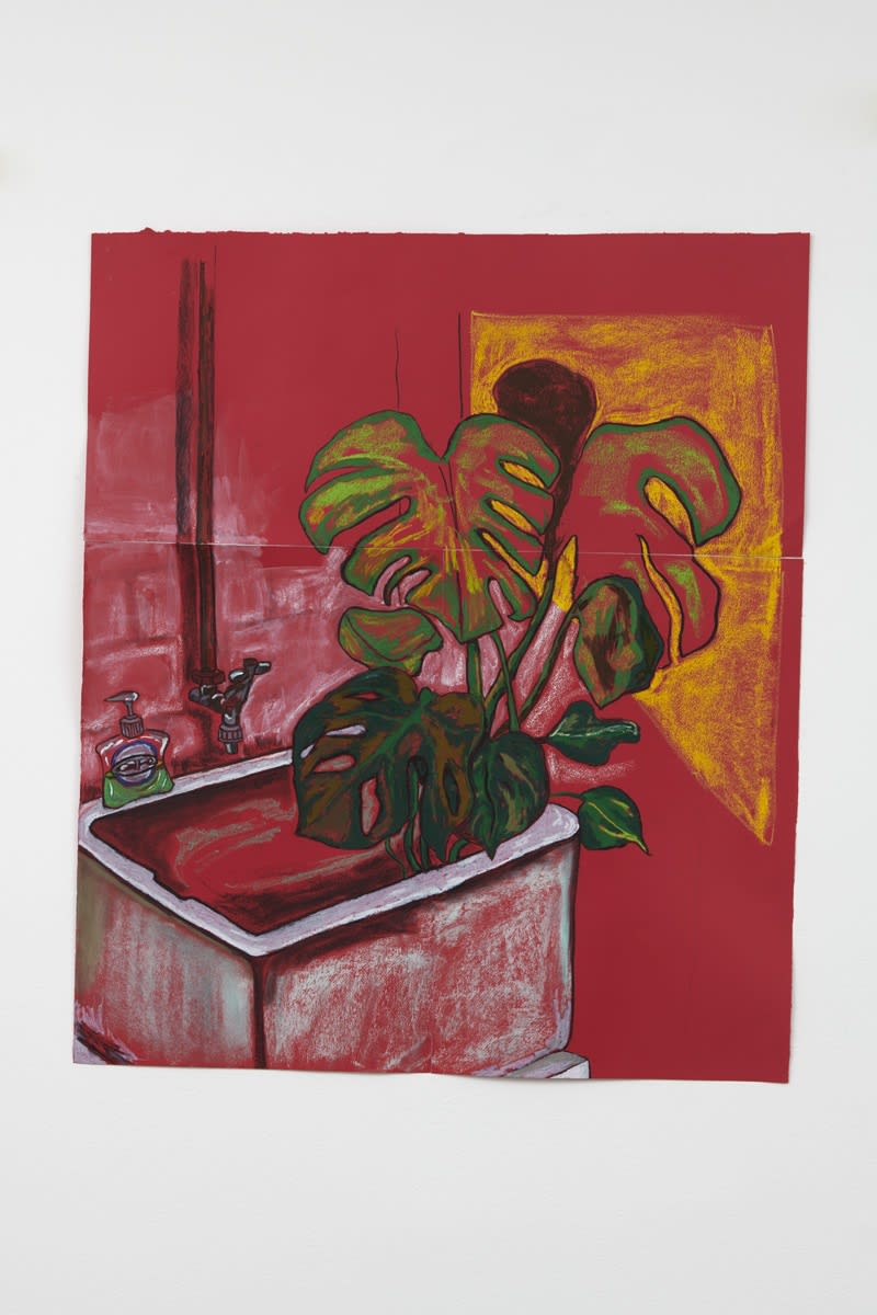 Christabel MacGreevy Cheese Plant Having A Drink In The Studio Sink, 2018 Charcoal, Chalk and Oil Pastel 86 x 75 cm