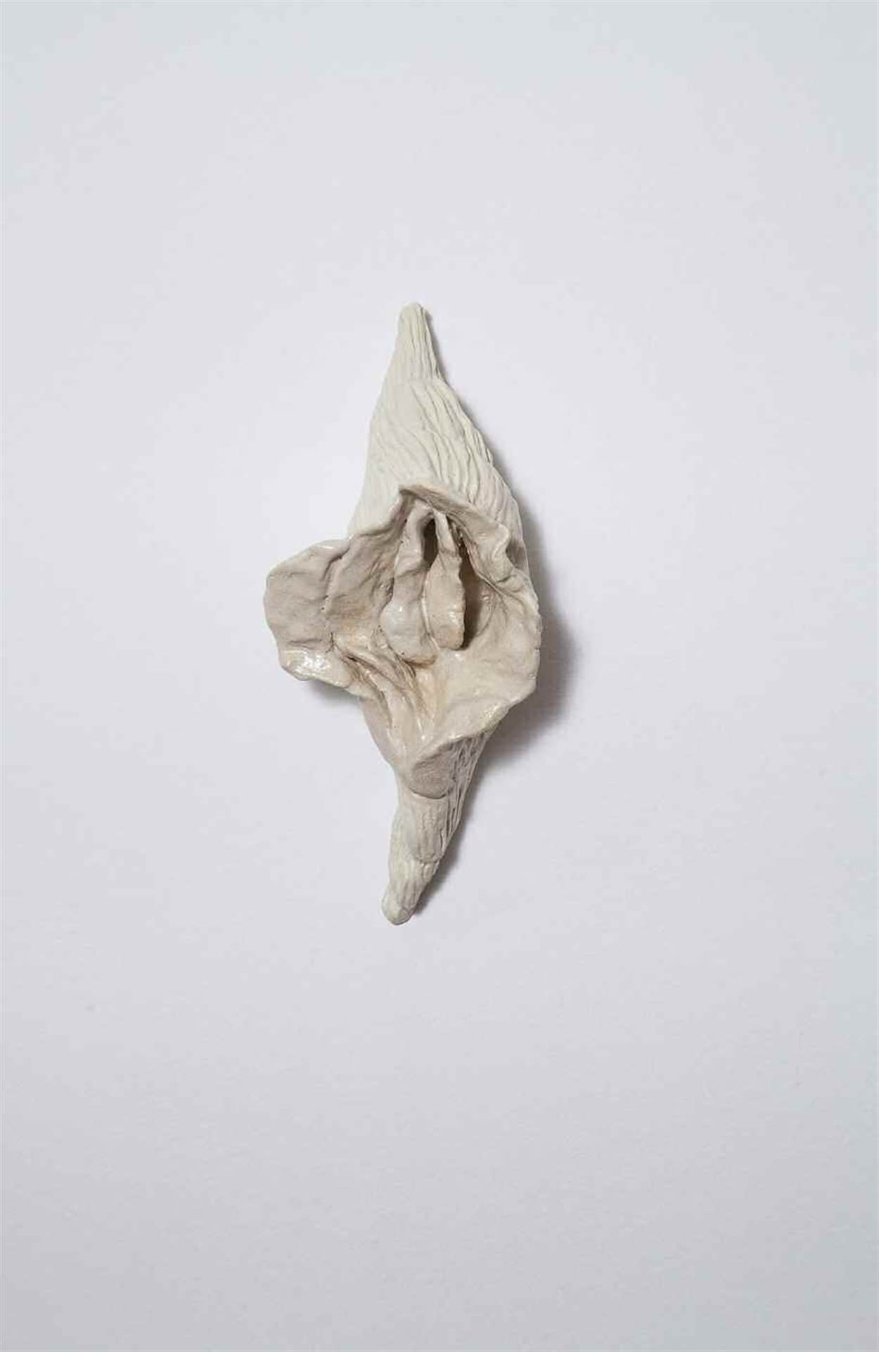 Brigida Baltar Concha vagina II, 2017