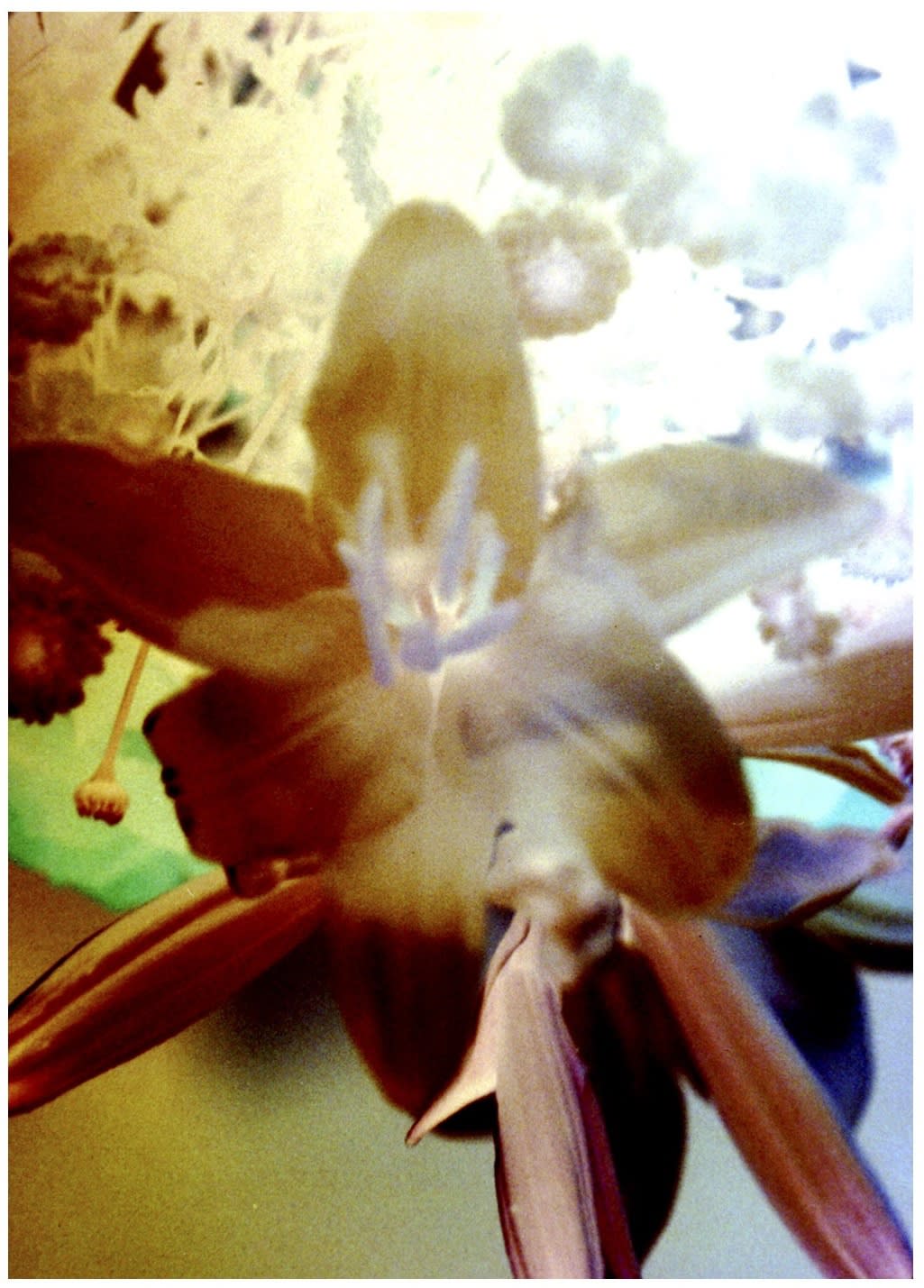 Setareh Shahbazi Spectral Days #36, 2013 Pigmented ink print 28 x 20 cm 11 1/8 x 7 7/8 in Edition of 3 plus 1 AP (SS013)