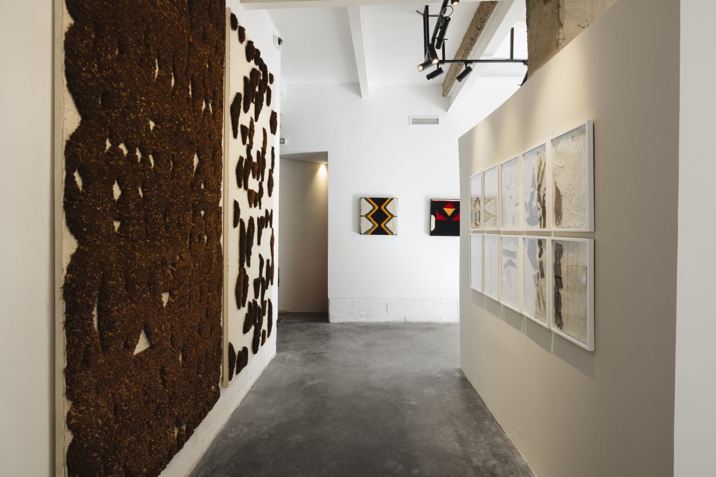 Solo Show I Amina Agueznay I Field Work I Volet 3