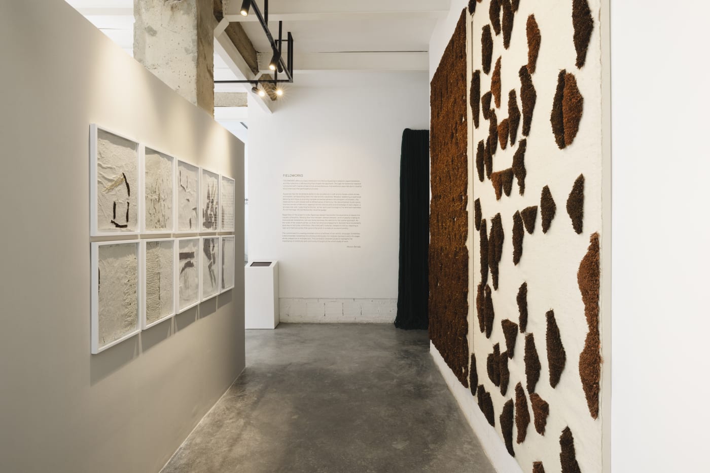 Solo Show I Amina Agueznay I Field Work I Volet 3