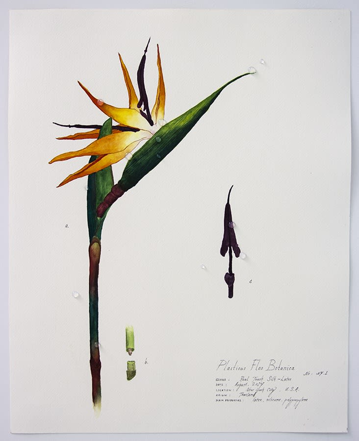 Magdalen Wong, Plasticus Flos Botanica. New York I . 2017 .