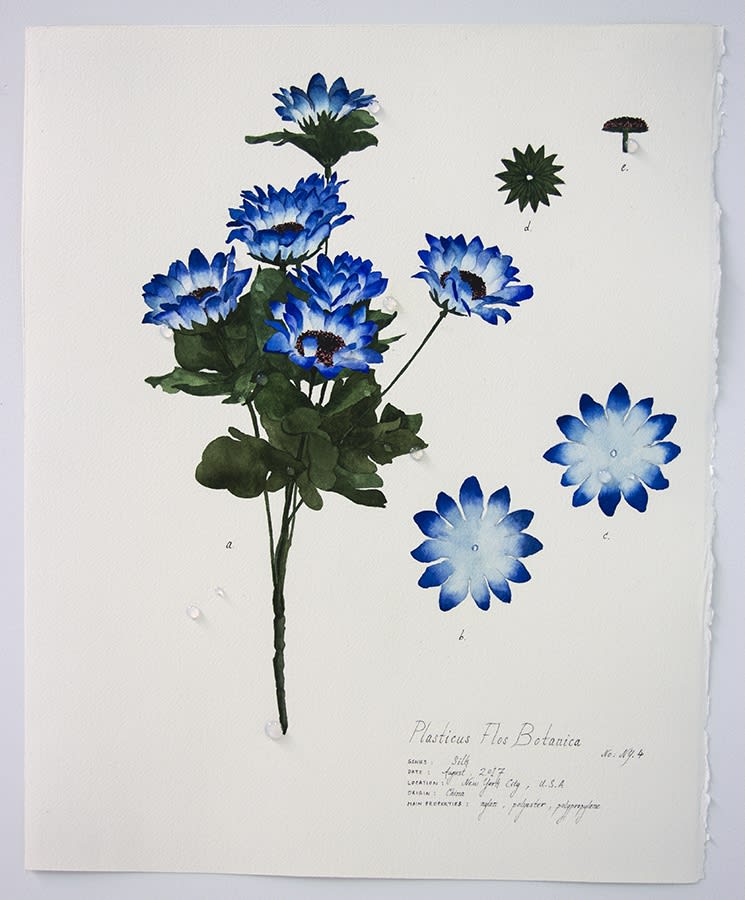 Magdalen Wong, Plasticus Flos Botanica New York IV . 2017 .