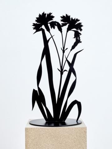 Black Grass at Stadtgalerie Saarbrücken