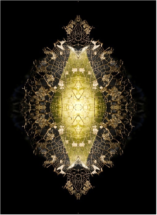 Aqualibrium