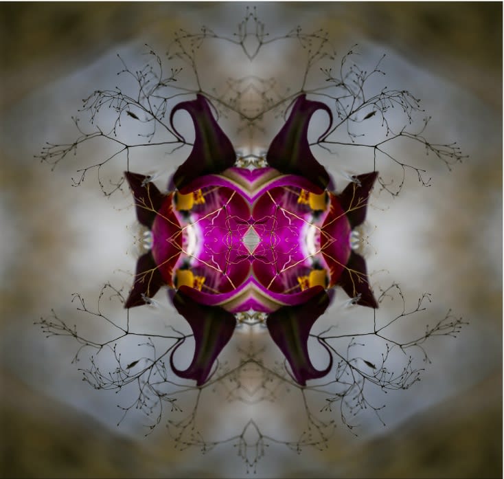 Aqualibrium