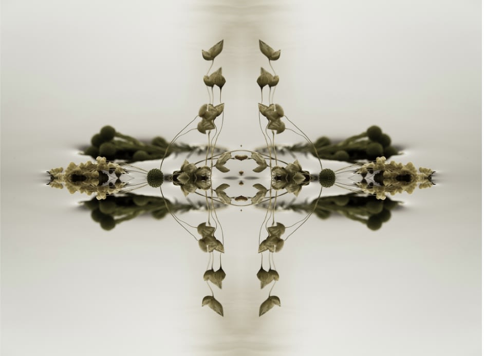 Aqualibrium