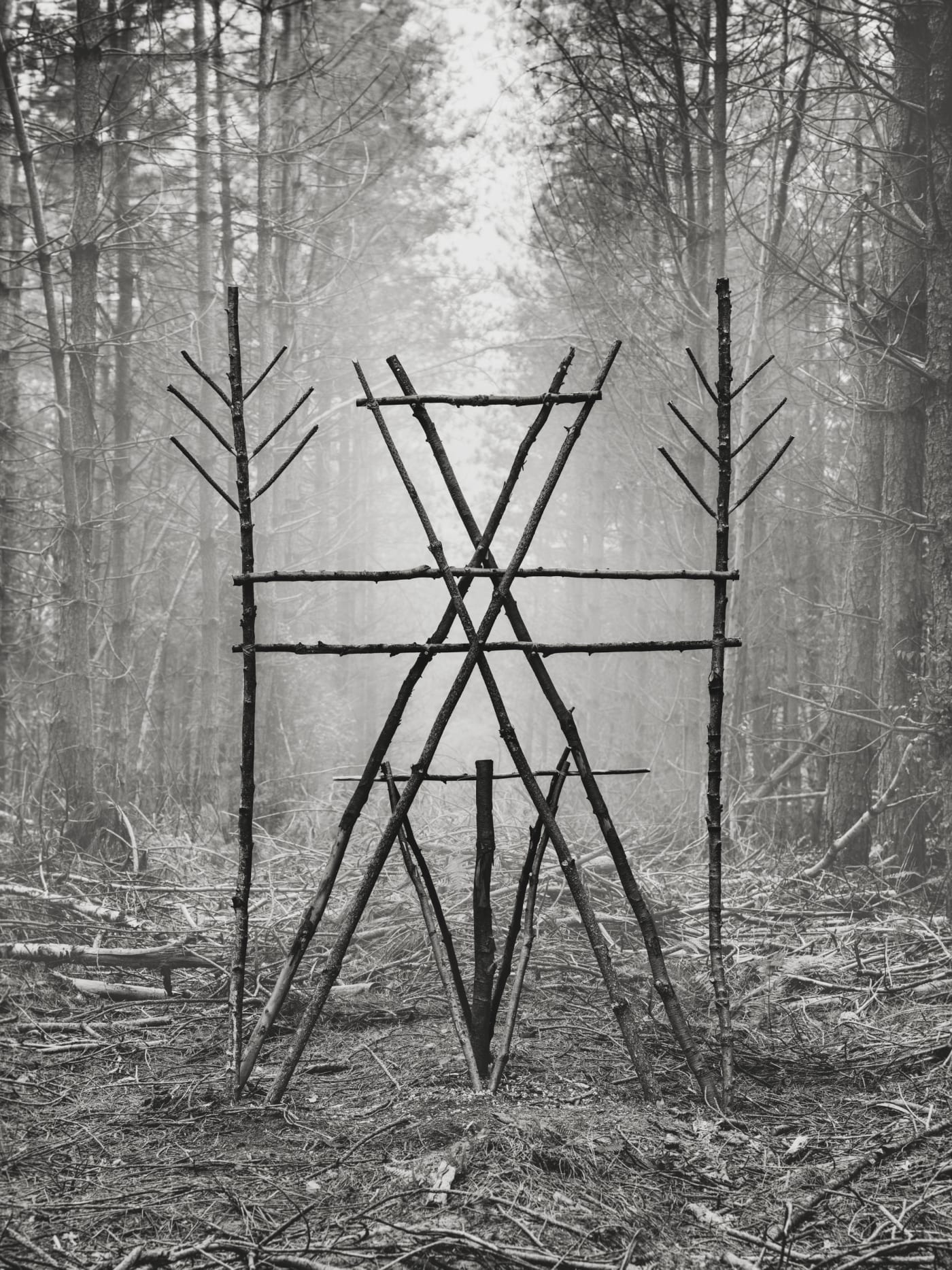 Jasper Goodall, Forest Figure 02, 2022