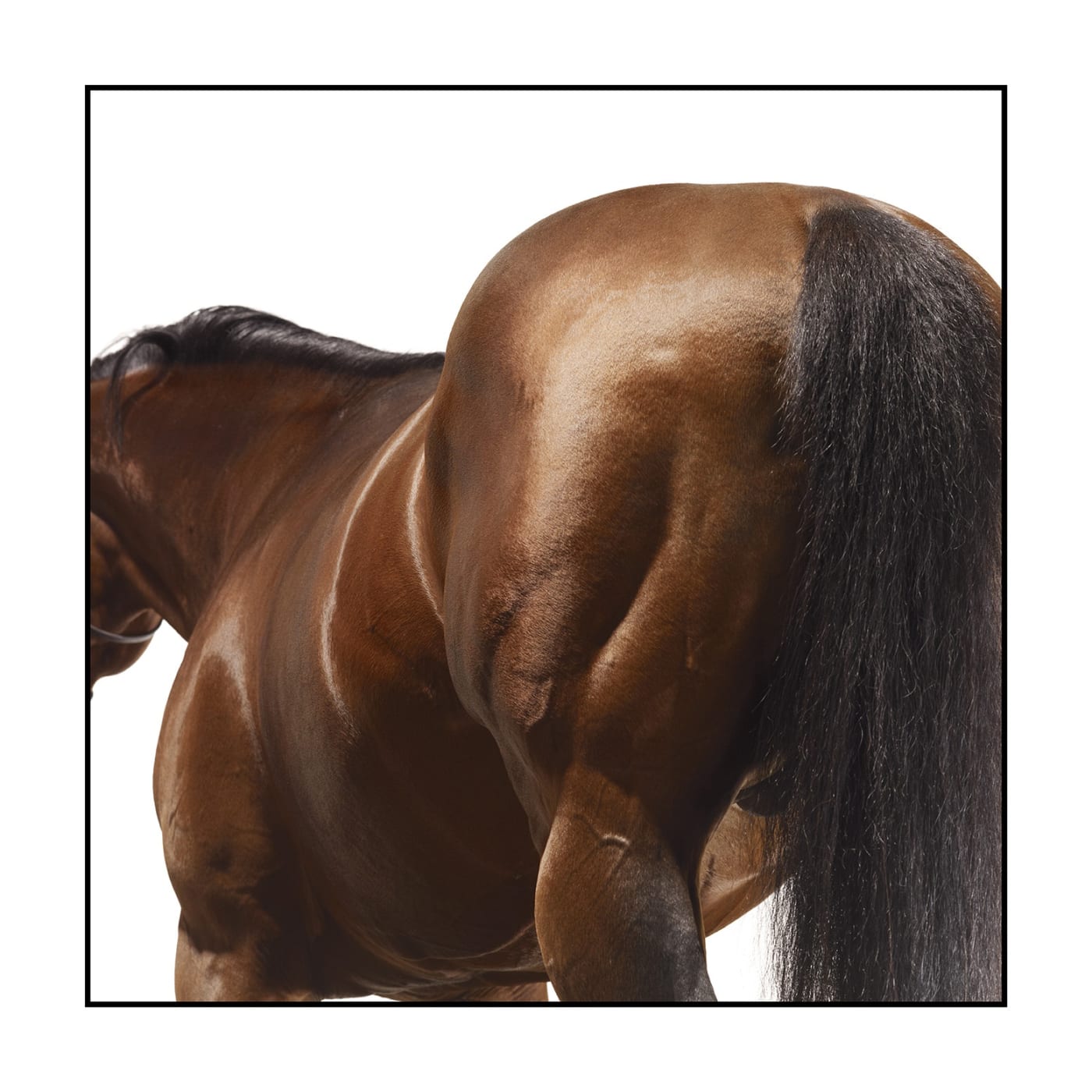 John Reardon, Dubawi, 2009