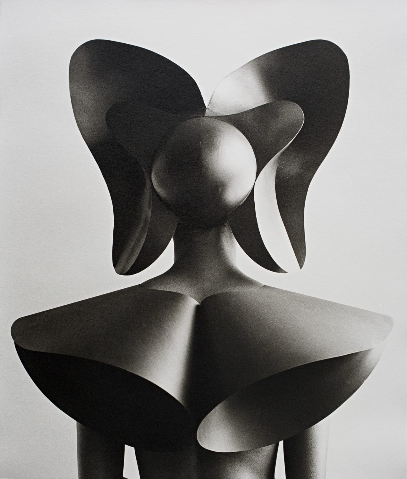 The Other Body