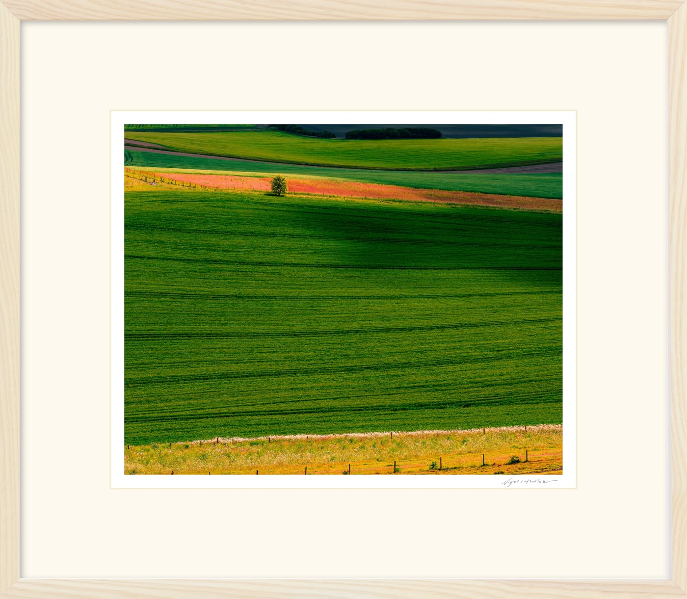 'ON THE LINE' Archival Pigment Print on Platinum Etching Fine Art Paper. The print is framed in an limed Ash Cushion frame, protected with Water White Glass that provides maximum clarity. Available in 3 sizes, framed and ready to hang. Includes first class delivery by courier. Edition of 3 in each of 3 sizes. Prices from £245.00 including courier delivery to your front door.