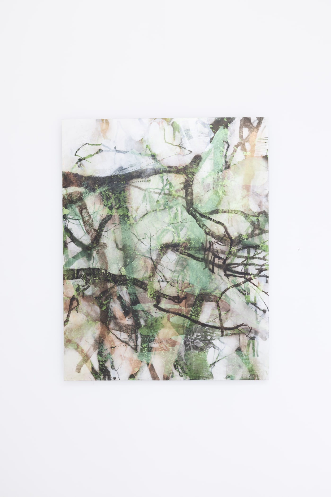 KIM WESTCOTT: NATURE OF NATURE