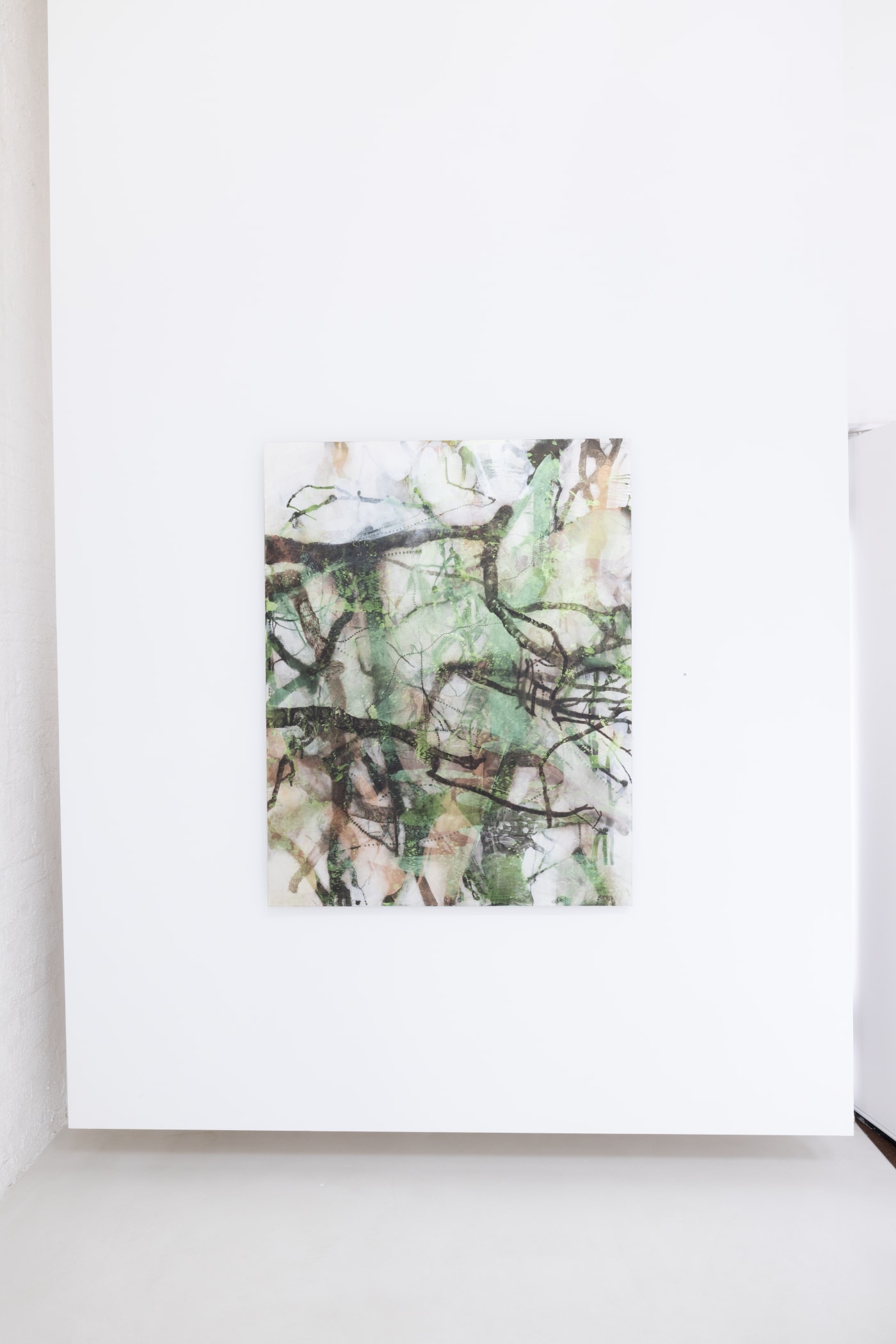 KIM WESTCOTT: NATURE OF NATURE