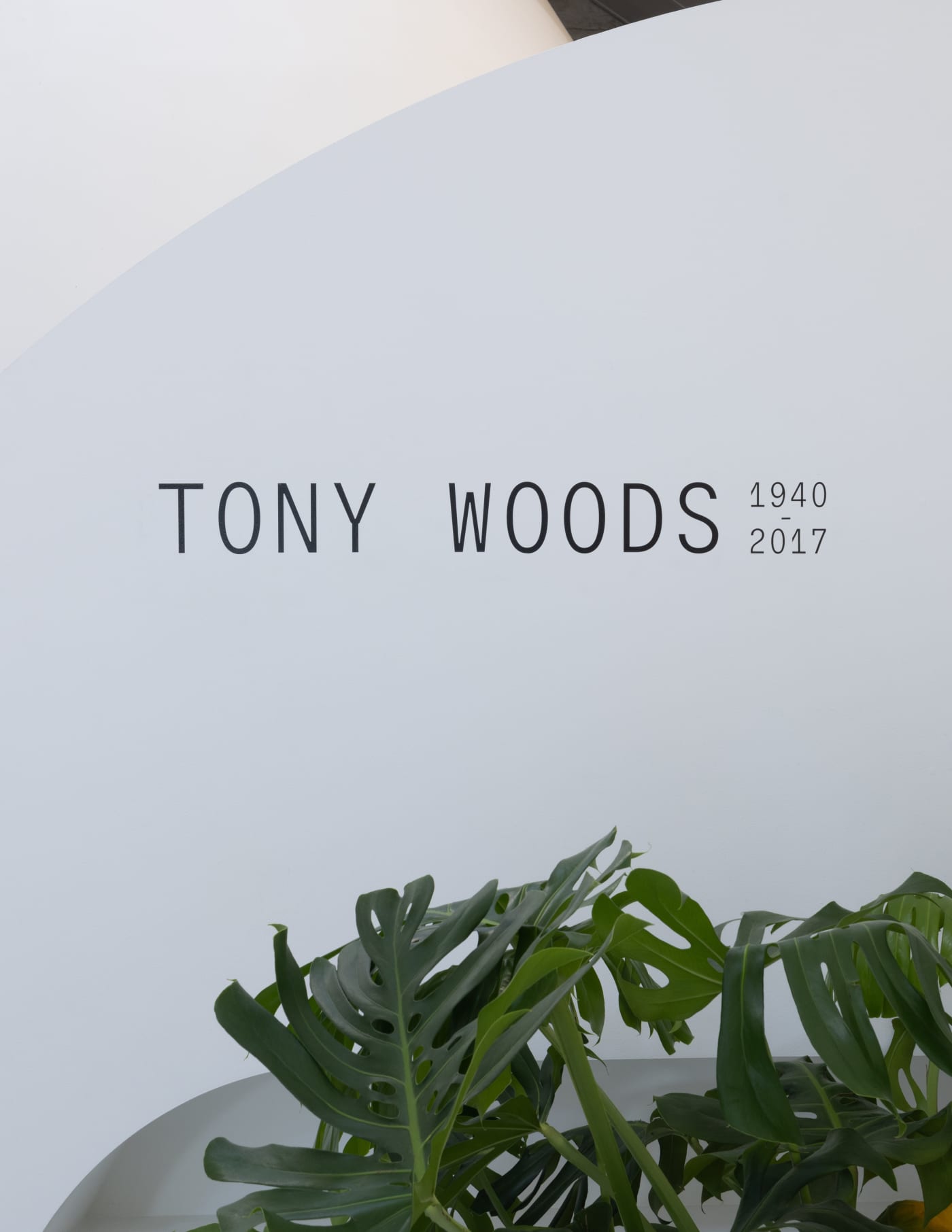 TONY WOODS