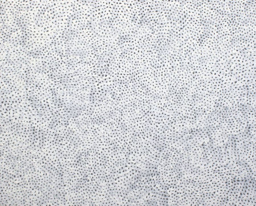 YAYOI KUSAMA Infinity-Nets TWWOQ 2006 Oil on canvas 72.7 x 91cm