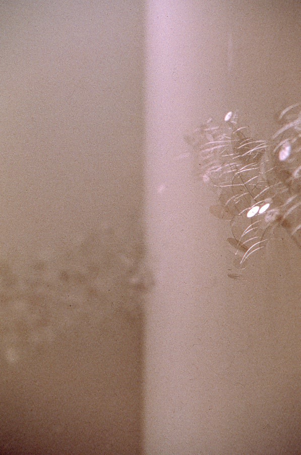 Karilee Fuglem, Secret Visibility, 2002, acetate discs (.5 - 6 cm diameter), nylon threads (1 - 10 cm long); fans on timers