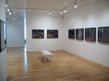 Louis Joncas, Naturalis